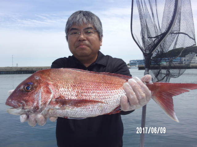大物マダイコース 手応え抜群魅惑の ザ マダイ 釣り船なら愛知県師崎港の釣船七福丸