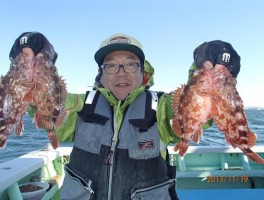 カサゴは師崎沖産です、この時期結構型いいですよ