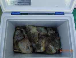 20131122154522.jpg