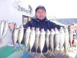 大山沖産の大アジの串刺し大漁だ