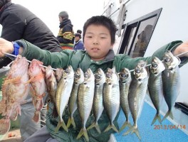 少年君も頑張りましたね　カサゴもでかいよ