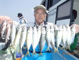 でかいマアジの爆釣で大漁だ