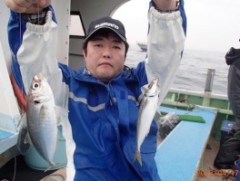 サビキ釣りでお手軽に釣れる