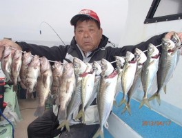 マアジもでかいよ30㎝級の伊良湖沖産アジは最高だ　メバルもたくさん　大漁節