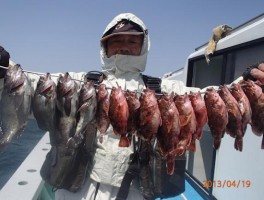 根魚の定番　メバルとカサゴでご堪能いただきました