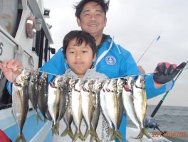 親子さんで極マアジを釣りまくりだ