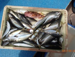 201342317112.jpg