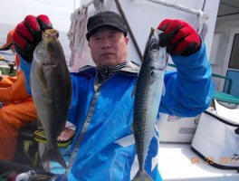 いつもの大山沖の達人さん　大イサキと極マサバだ　