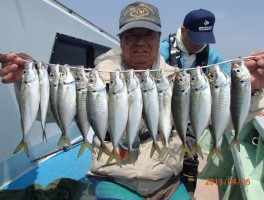 サビキ釣りでお手軽に釣りまくろ－