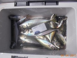20134415403.jpg