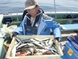 こちら様の釣果もどっさり級