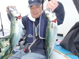伊良湖沖産の極上サバ　完全釣りまくりですよ