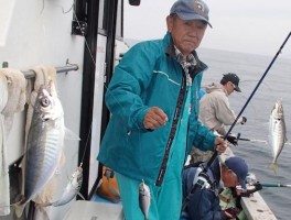 後半戦のマアジ釣りは一度に4連5連ちゃんの完全釣りまくり