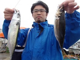 サビキ釣りの定番　サバ　アジ　こちらは大アジだ