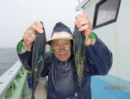 サバは入れ食いで釣り放題