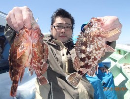 近場の師崎沖のカサゴです