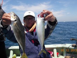 特大アジ　アンド　極上マサバだ