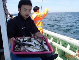 アジ五目釣りでもご堪能