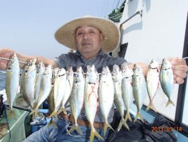 極伊良湖沖産のアジをかなりの釣りまくりましたよ