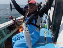 極マアジの釣り放題状態