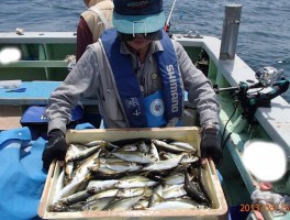 アジもよーく釣れる釣れる　