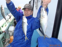 アジはご覧の通り釣りまくり状態