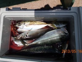 2013516153011.jpg