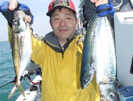 サビキ釣りの定番　アジ　サバ　