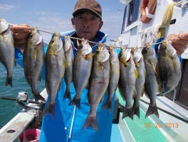 ワンダフル　大山沖最高　イサキで大漁だ