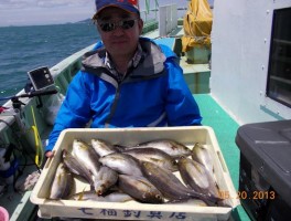 余裕の釣果です　まずまずのイサキ釣り