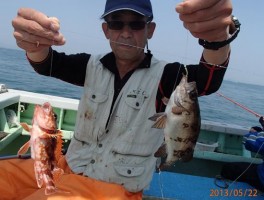 根魚の定番　メバル・カサゴ　