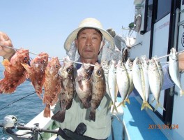 五目釣りの名人　佐野10段　しっかりと各ターゲットを確保だ