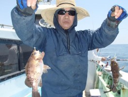 定番のダブルゲット　サビキ釣りでお手軽です