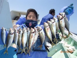 GOODサイズ級ばかりで釣果もたっぷり釣りましたよ