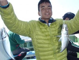 型の良い伊良湖沖産マアジ　釣れますよ