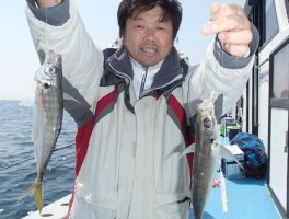 GOODサイズ　マアジも釣りまくり