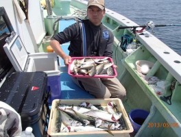 アジ・サバ　ともに各釣果・・たくさん釣れますよ