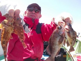 根魚のの定番　メバル・カサゴです　本日はこれで我慢です