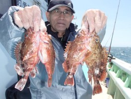 風は強いですが波は少々　穏やかにカサゴ三昧