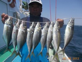 大人気の特大大アジ　串刺しでグレイト大アジ