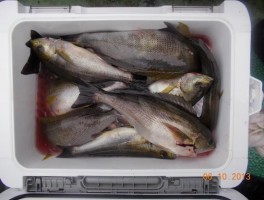2013610164711.jpg