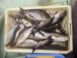 201361145646.jpg