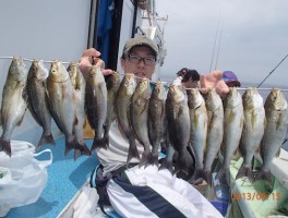 完璧にドッサリとイサキの釣果で大漁　大漁