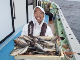 グレイト　ザ・イサキ　ドッサリ山盛り釣果でした　