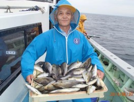 猛烈爆釣イサキ　ご苦労様でした