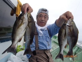 大人気のイサキは釣りまくりモード