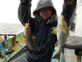 大イサキで釣りまくり