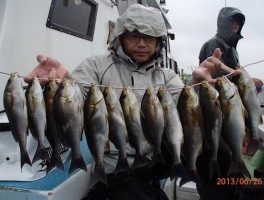 よりたくさん釣りましたよ　９：００沖上がりは残念だ