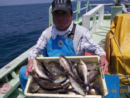 善田名人　余裕の釣りまくりでポーズ