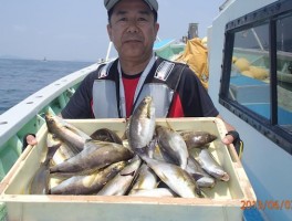 大人気のイサキ釣りでよりたくさん釣れていいね